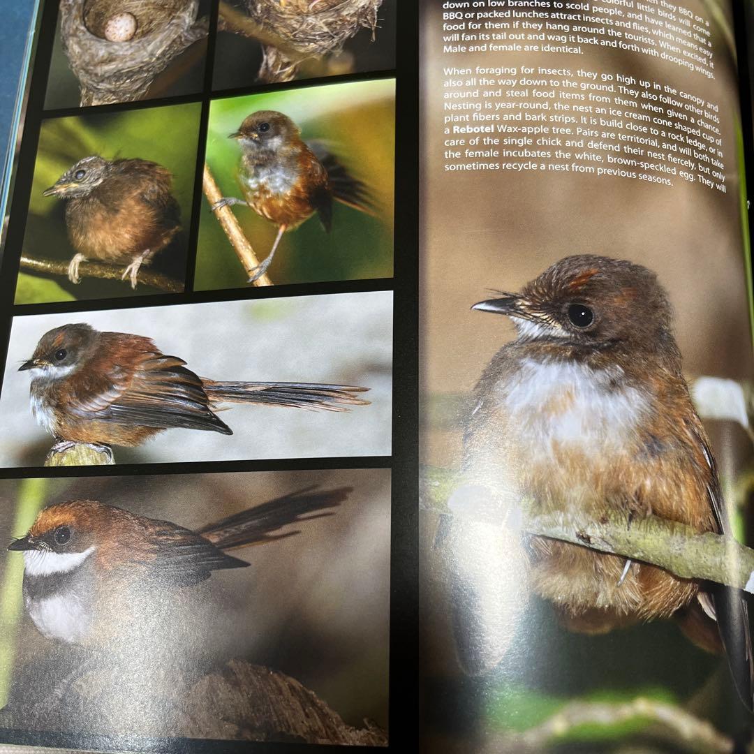 新品未使用希少パラオ共和国の生き物魚達の図鑑大型写真集