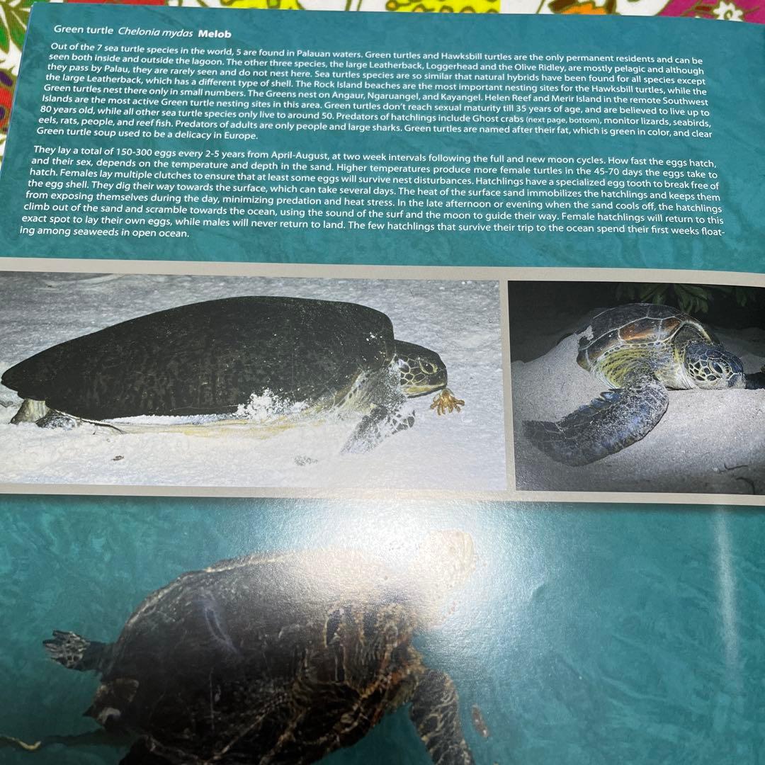 新品未使用希少パラオ共和国の生き物魚達の図鑑大型写真集