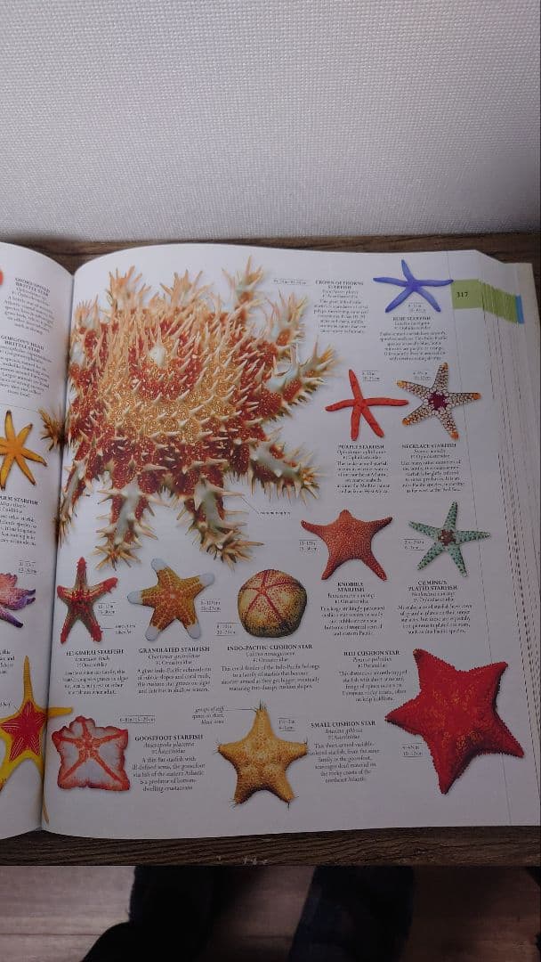スミソニアン　大図鑑　英語版　SMITHSONIAN