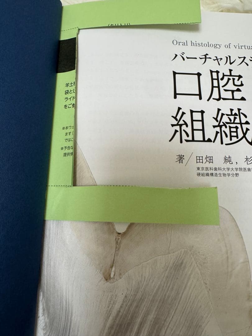 バーチャルスライド　口腔組織学　羊土社