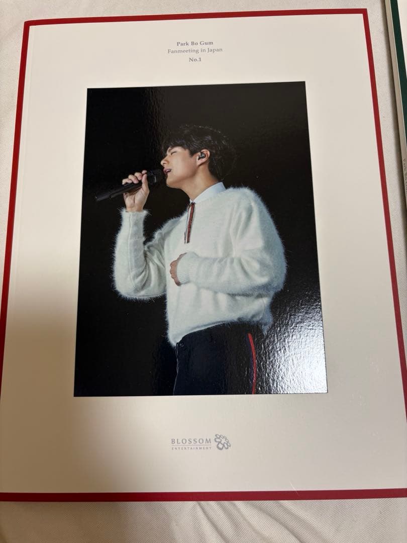 Park Bo Gum Christmas Eve ファンミ