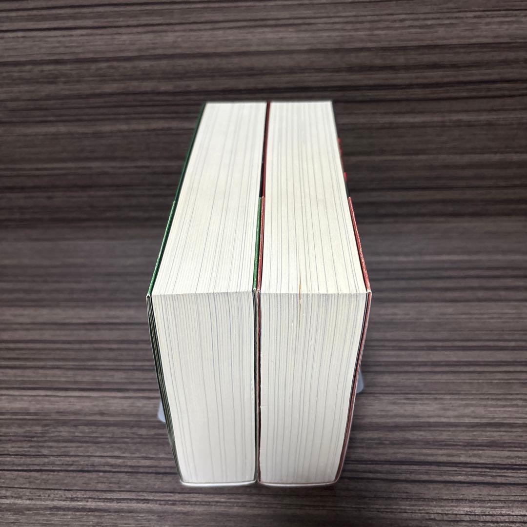大いなる秘密 上 (爬虫類人)・大いなる秘密 下 (世界超黒幕) 2冊セット