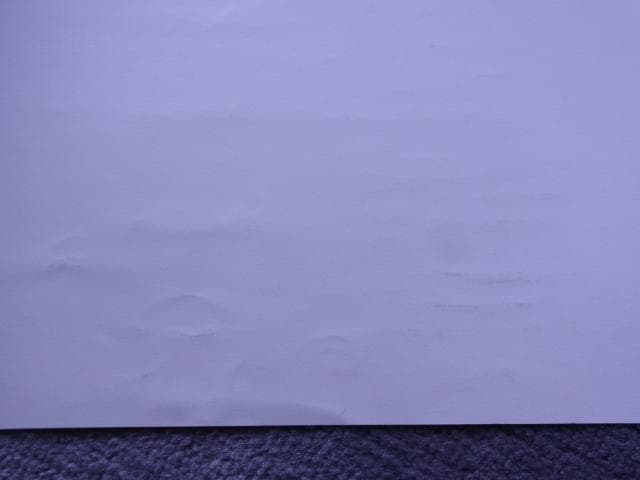 未使用品　非売品　ポスター　バイオレンスキラー　任天堂64　当時物　羽賀健二