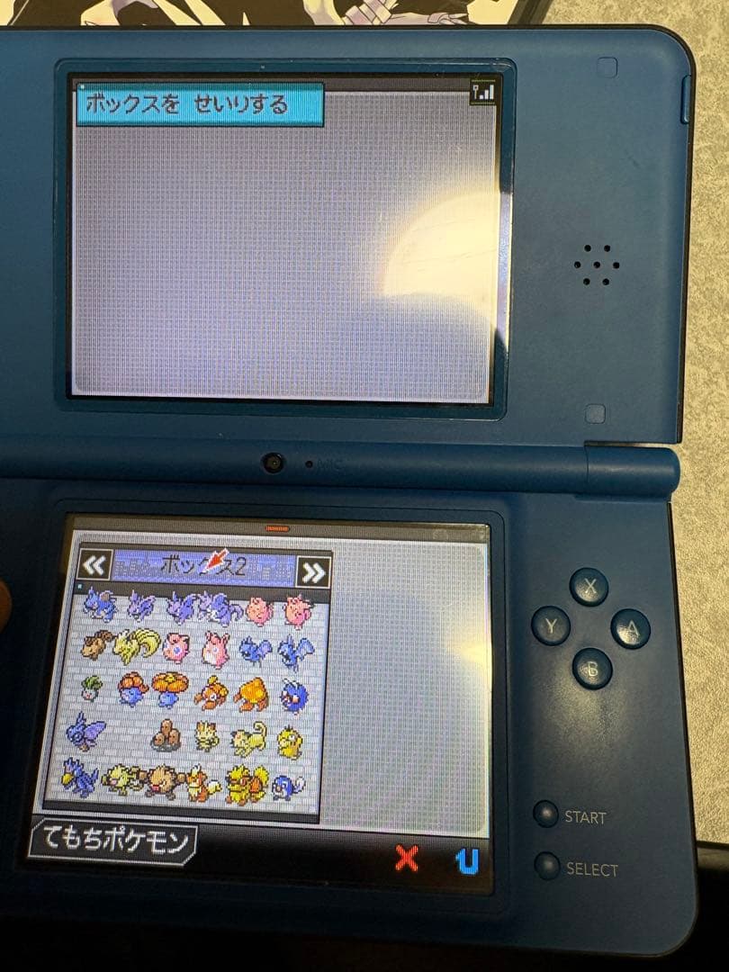 ポケットモンスター ブラックNintendo DS最強データ