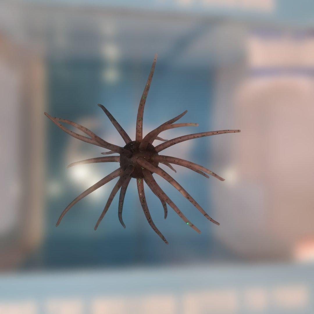 ハイドアップ コイケ17㎜