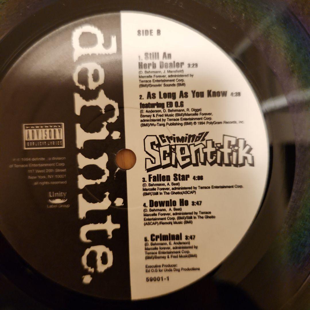 USオリジナルLP盤　Scientifik - Criminal