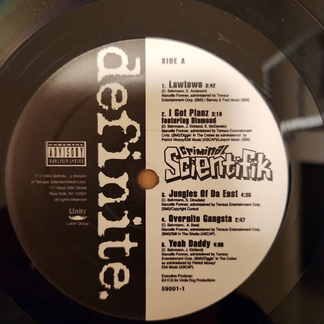 USオリジナルLP盤　Scientifik - Criminal