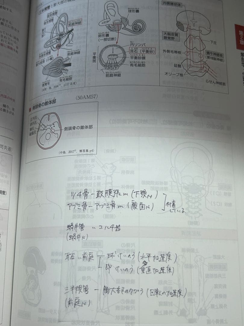 必修ポイント 理学療法士 PT