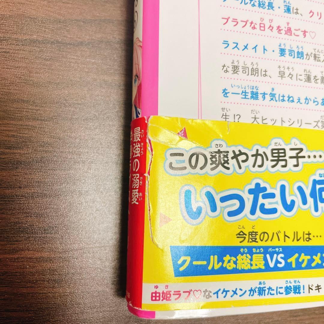 【合計23冊 】総長さま、溺愛中につき。1-13巻 +今日、キミに告白します　他