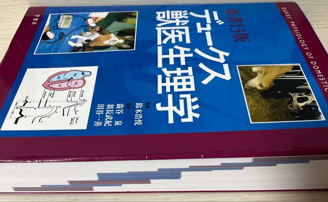 原書13版 デュークス獣医生理学　学窓社