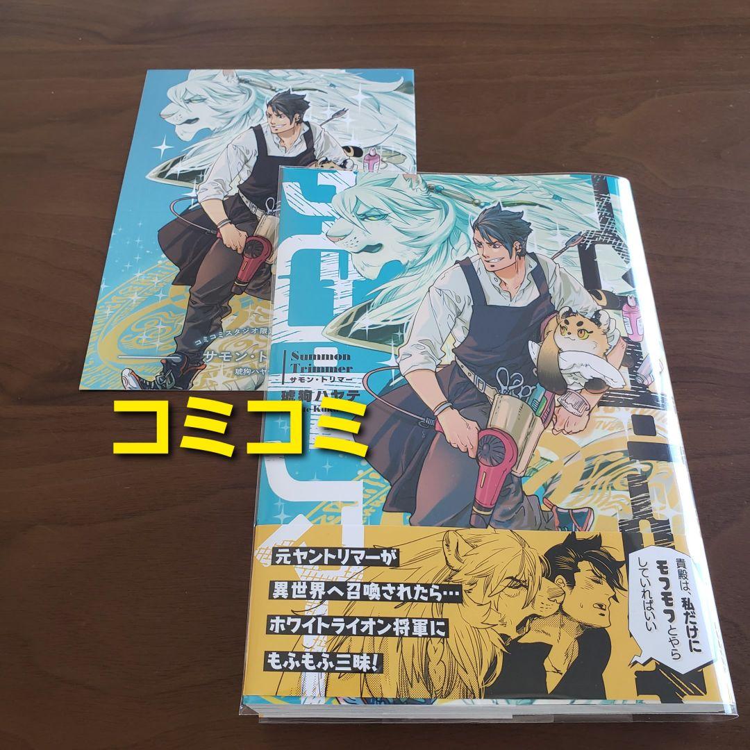 【専用出品　猫又様】宅急便　計19冊