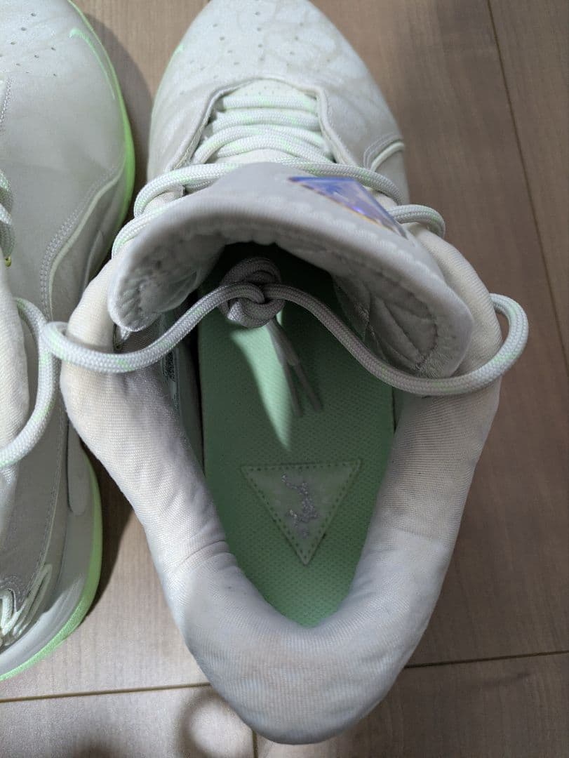 シューズ(男性用) Nike LEBRON 22 EP