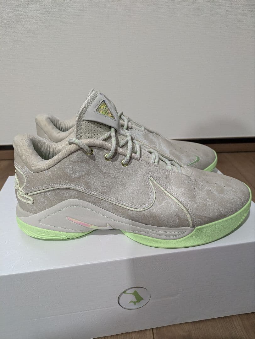シューズ(男性用) Nike LEBRON 22 EP