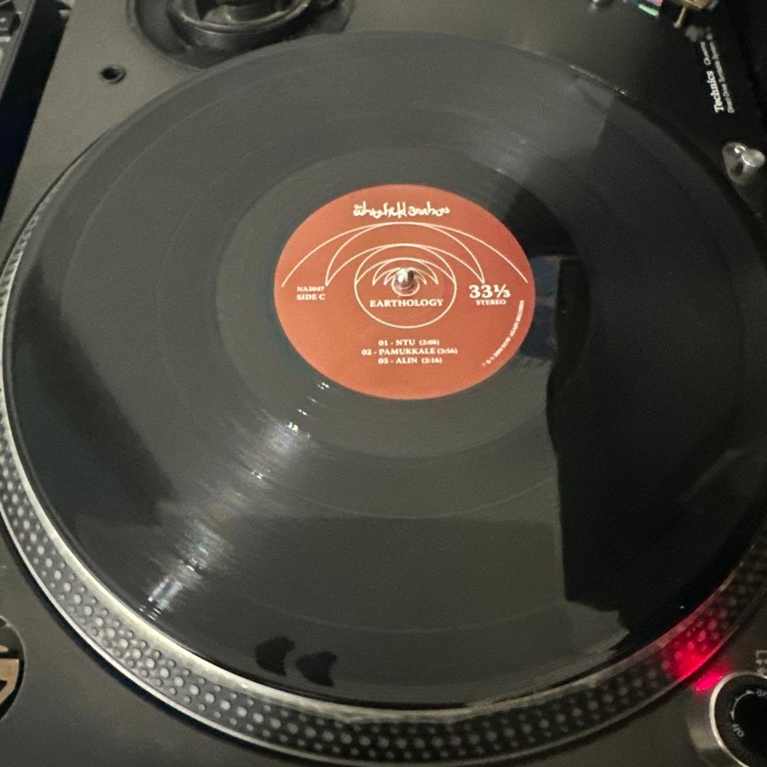 邦楽 The Whitfield Brothers Earthology LP