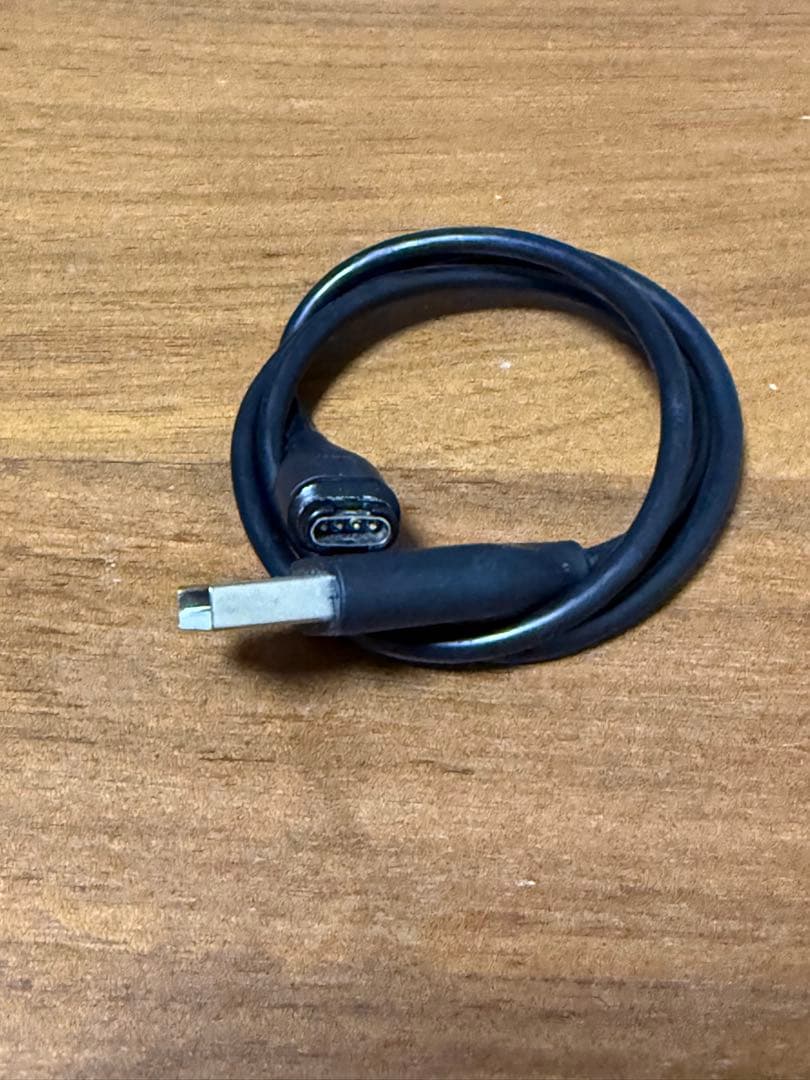 ラウンド用品・アクセサリー GARMIN APPROCH S62