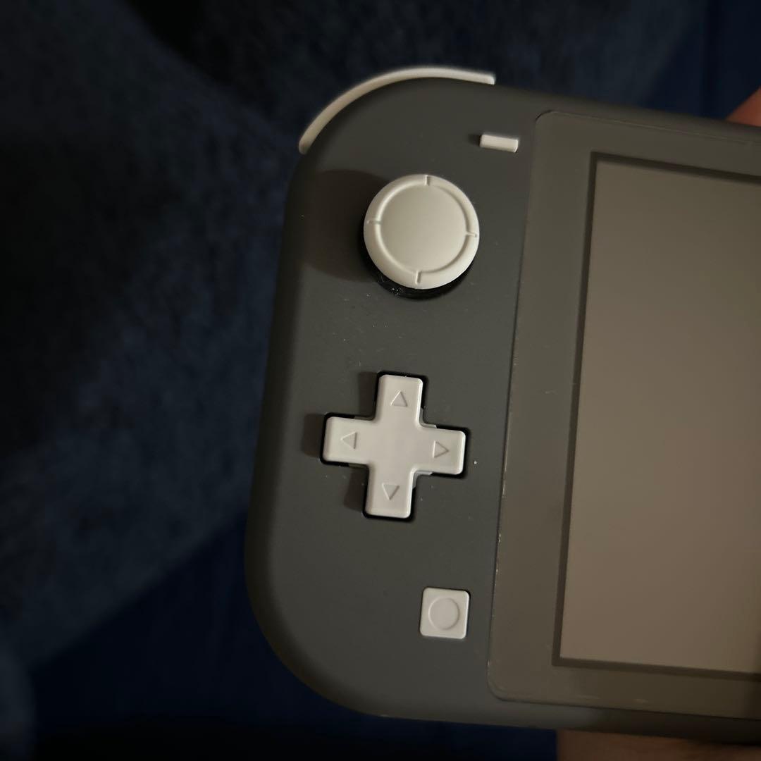 と*や様 Nintendo Switch Lite グレー