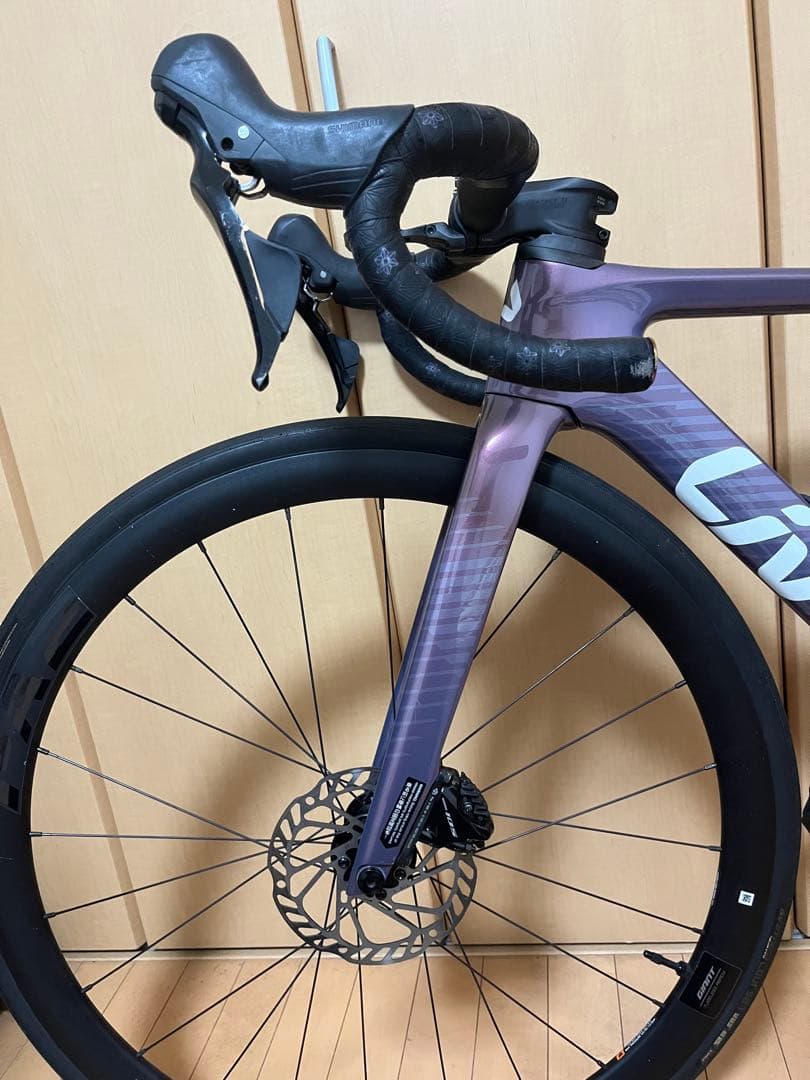 ENVILIV ADVANCED 2 【美品】