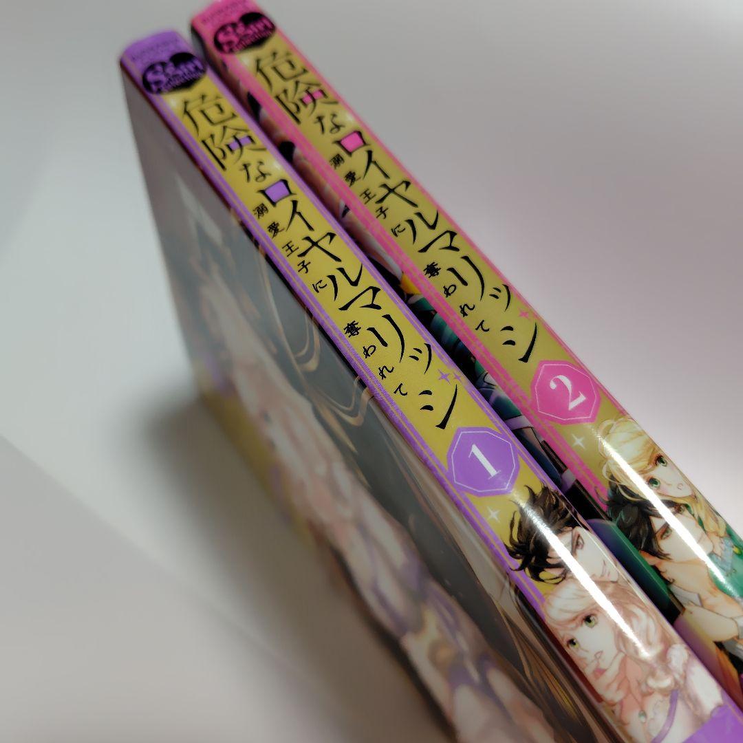 危険なロイヤルマリッジ 溺愛王子に奪われて