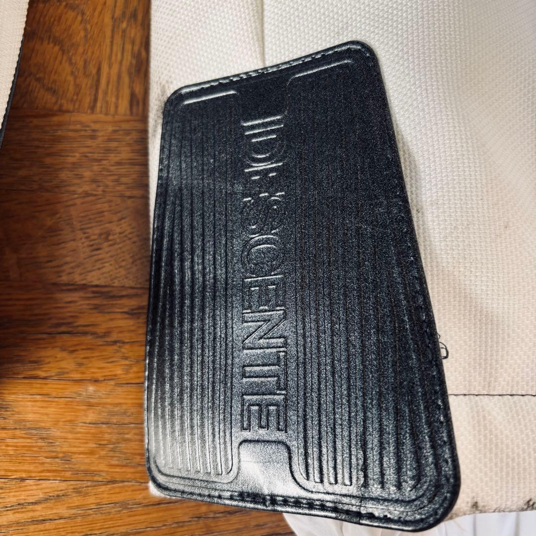 OI11 DESCENTE スイス代表 スキーウェア 上下 L DERMIZAX