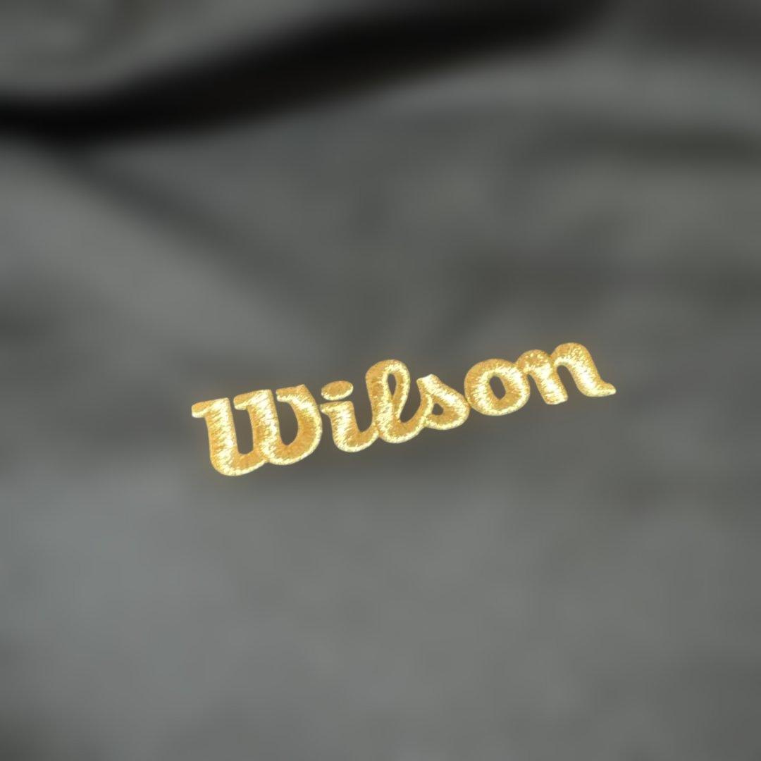 Wilson staff硬式グローブ 赤 [日本製][グローブ袋付き][軟式可