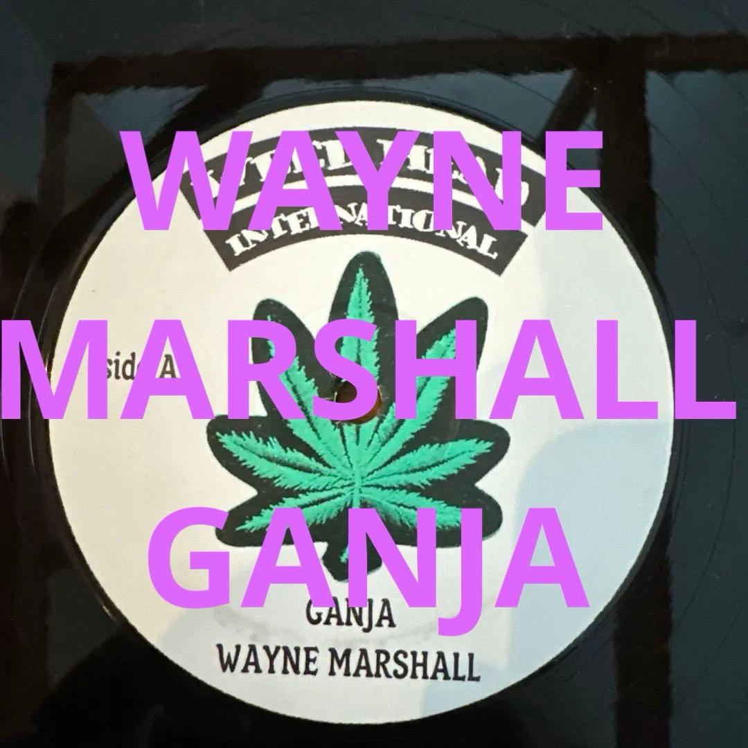 WAYNE MARSHALL GANJA横浜レゲエ祭レコード