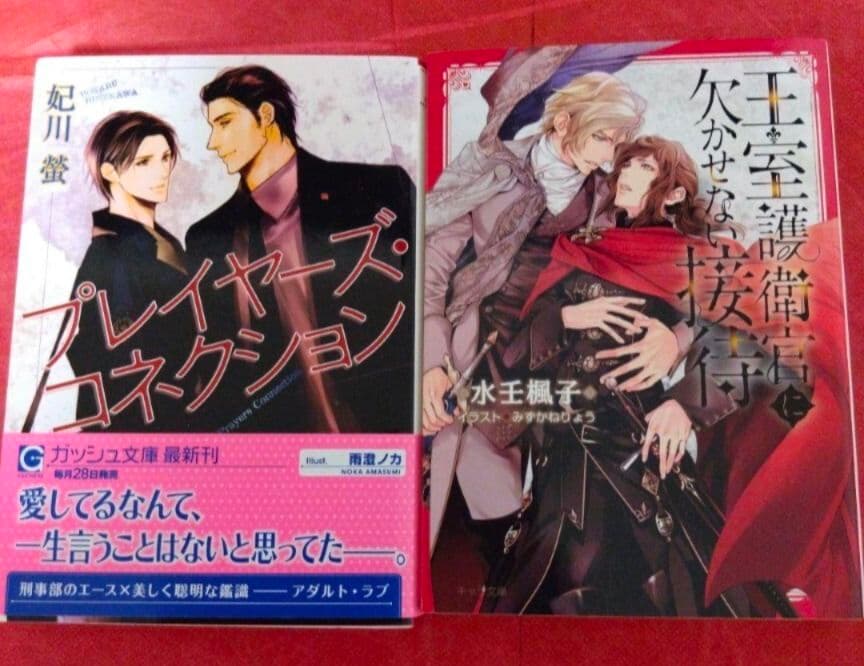 商業BL　まとめ売り　39冊　人気作家　人気作品　シリーズ　子育てBL