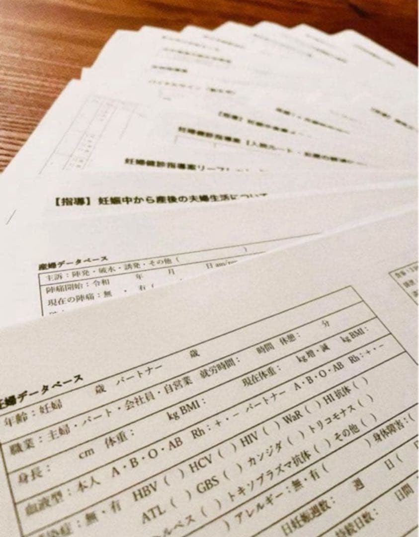 実習ポケットノート 助産師・助産学生用