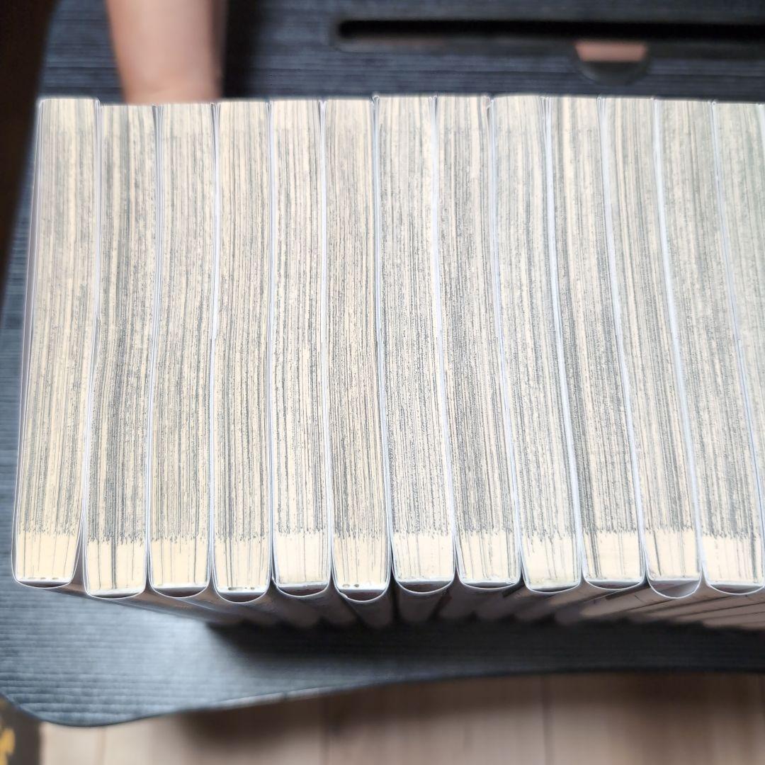 文豪ストレイドッグス 全24巻セット