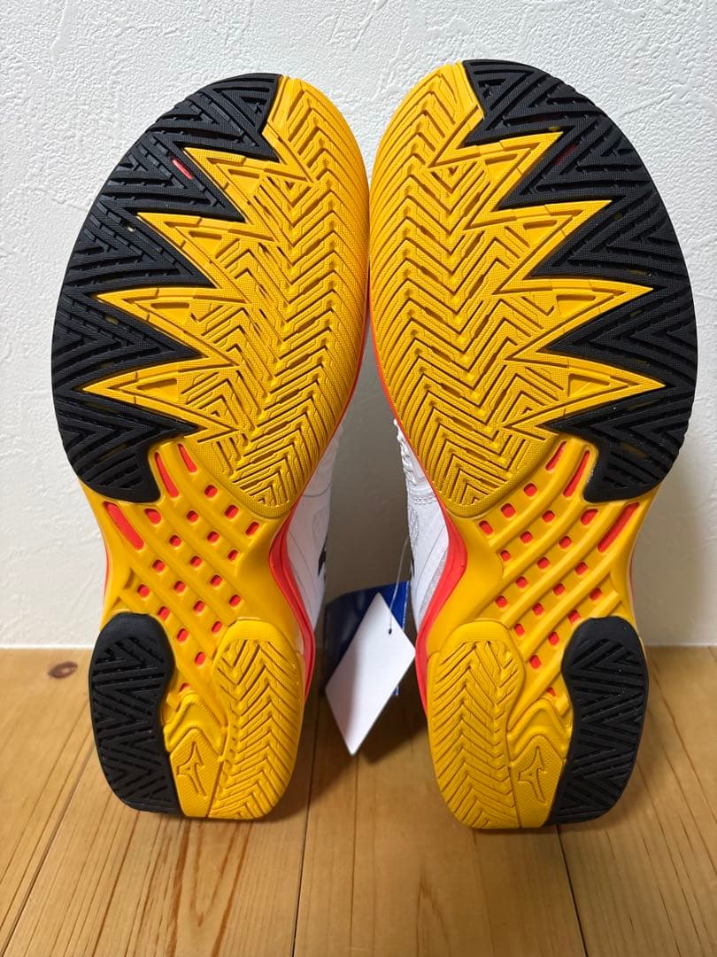 Mizuno テニスシューズ ウエーブエクシード TOUR 6 AC ミズノ