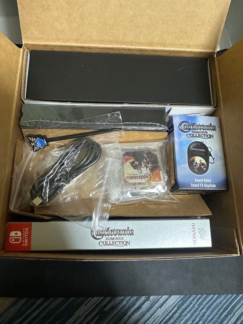 Nintendo Switch [Switch]Castlevania Dominus Ultimate CE