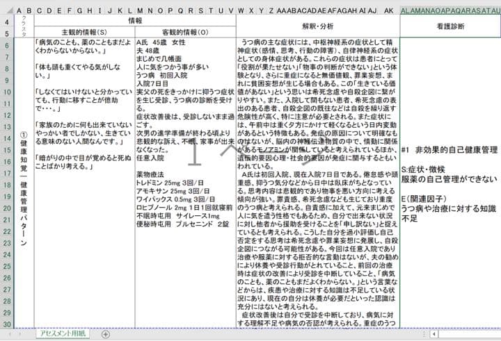 専用 手順書 関連図 アセスメント 看護実習 看護学生 計画 国試 看護過程