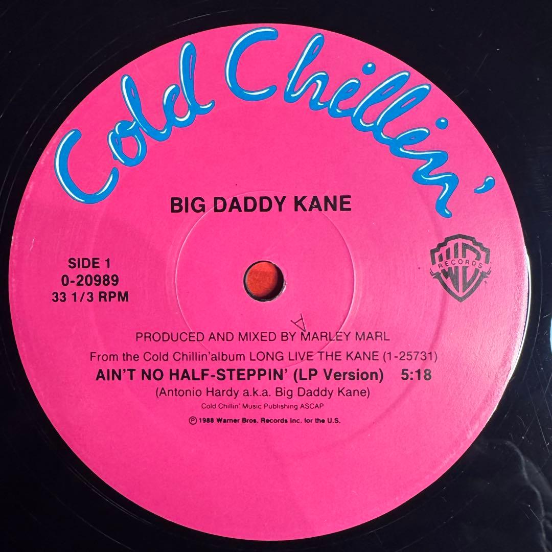 洋楽 Big Daddy Kane Ain't No Half-Steppin'