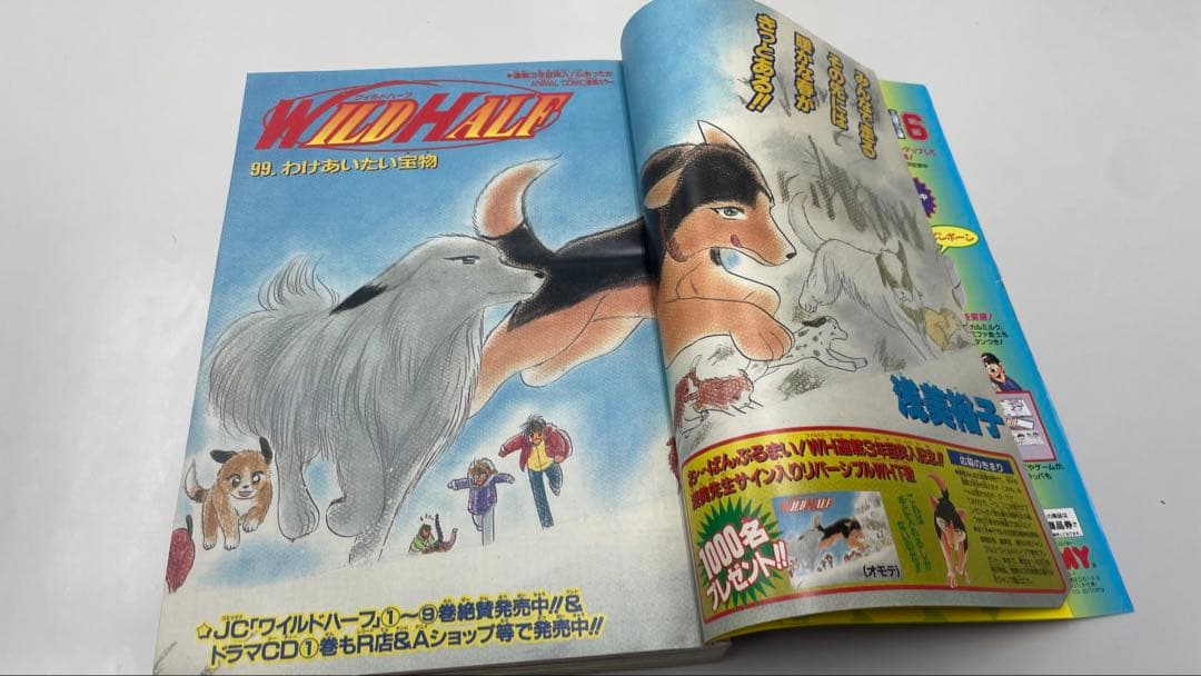 ワイルドハーフ 新連載 週刊少年ジャンプ 1998年07号