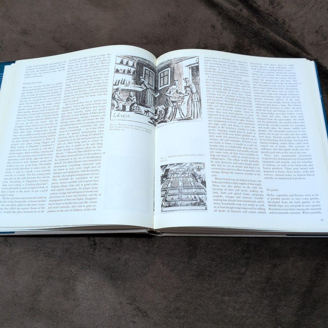 洋書 The Dolls' House An Illustrated History