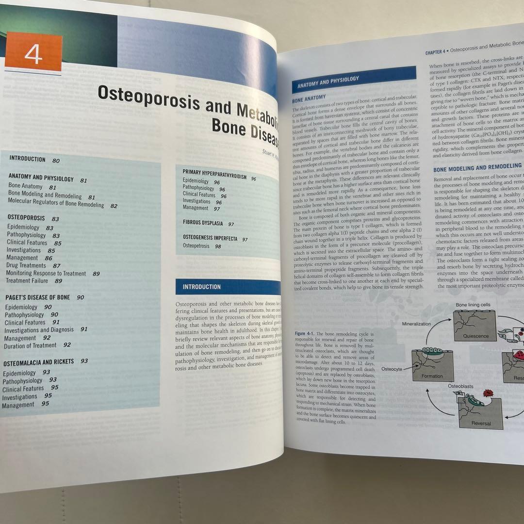 健康・医学 Rockwood and Green's Fractures in Adults