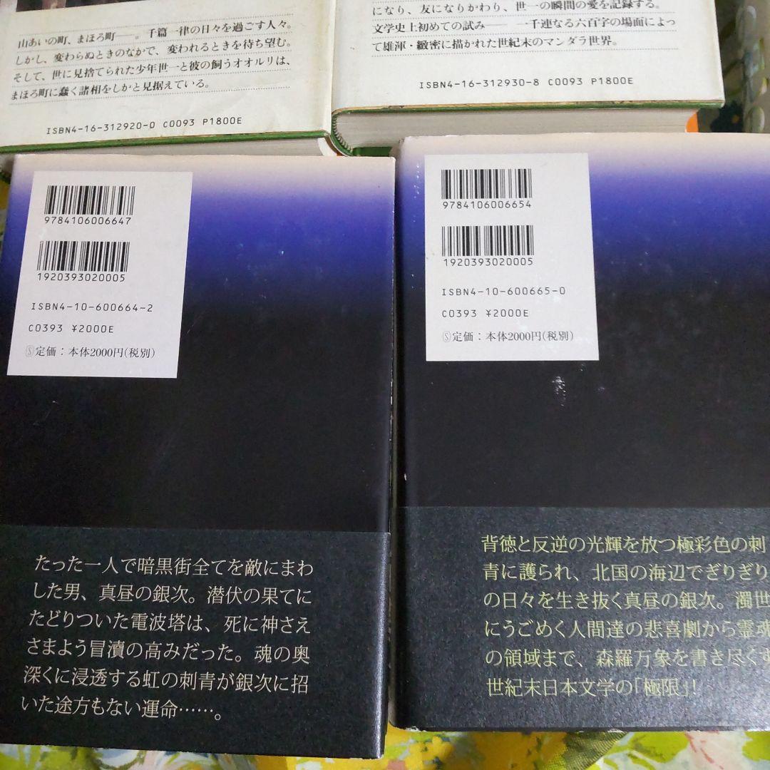 丸山健二 作品集 5冊セット 千日の瑠璃 虹よ 銀の兜の夜
