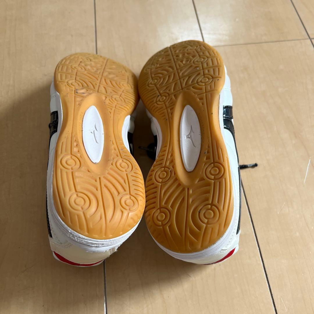 MORELIA SALA IN 白×黒 25.5cm