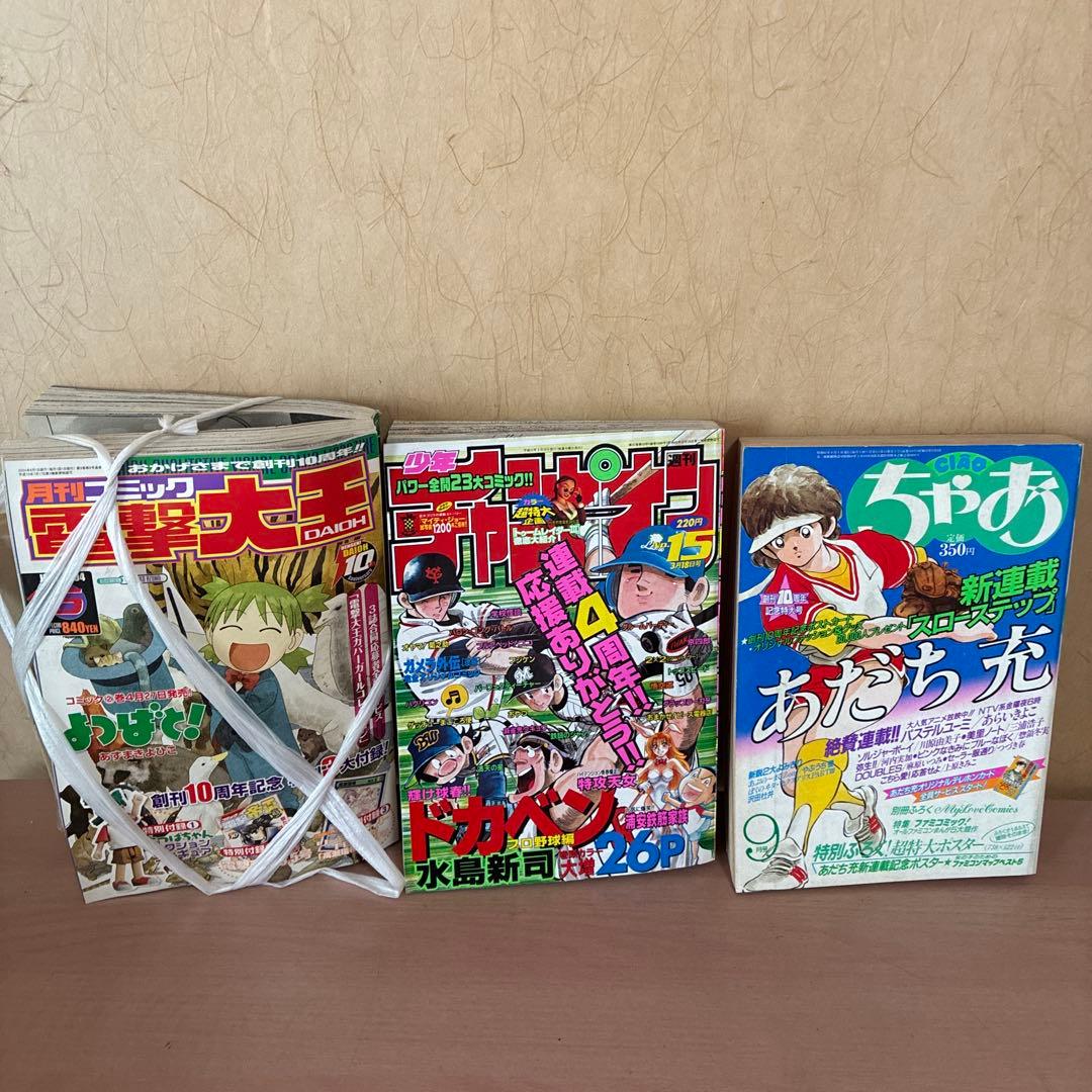 サンデー、フラッパー、ちゃお、チャンピオン、電撃大王、鉄人、フィギュア王等12冊