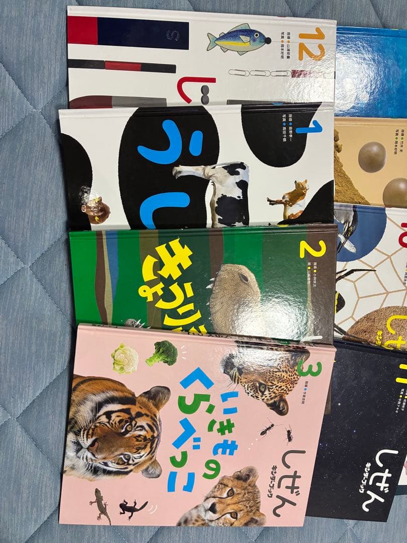 キンダーブック　しぜん　24冊　2020年度 2023年度　美品