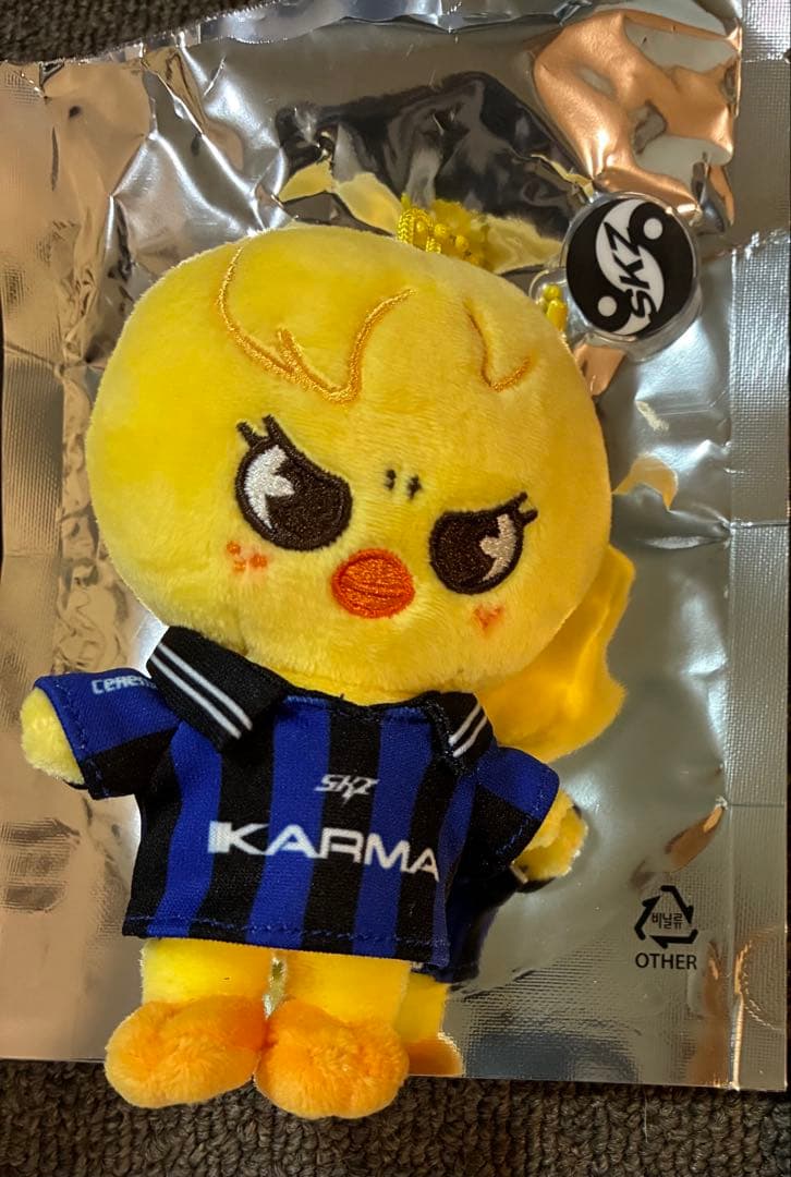 KARMA SKZOO ver ポガリ　カルマ　スキズ　箱付き　アルバム