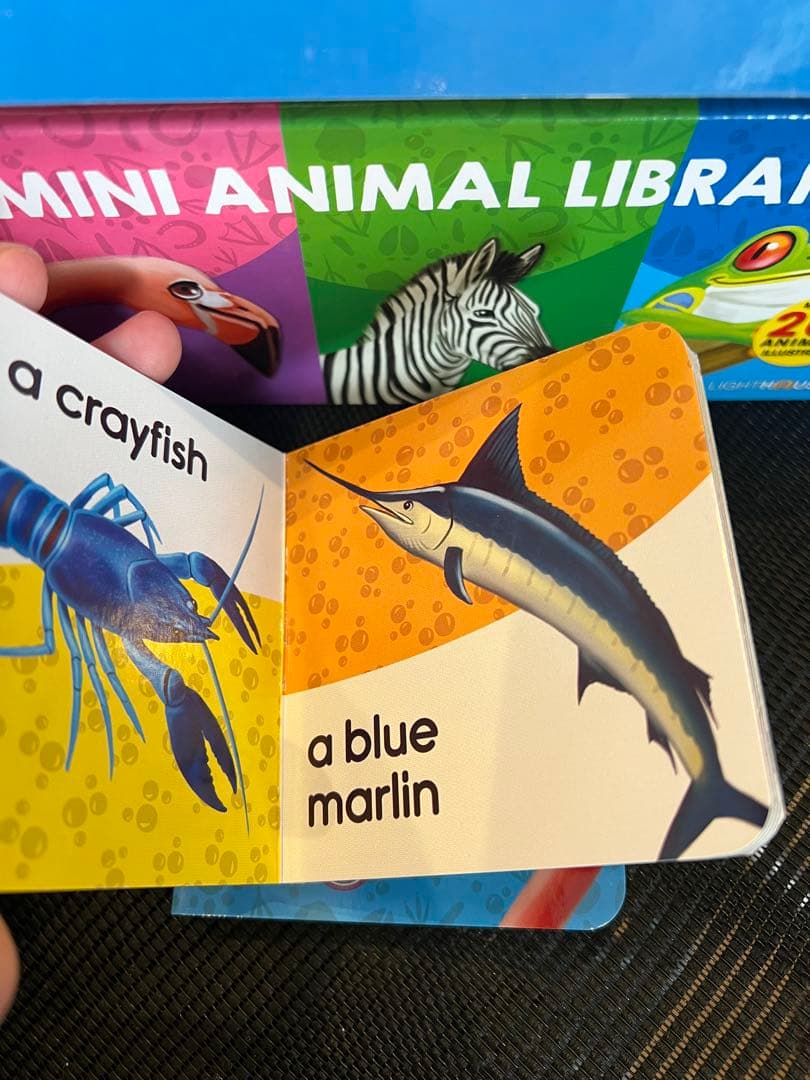 英語絵本 my big mini animal library 20冊