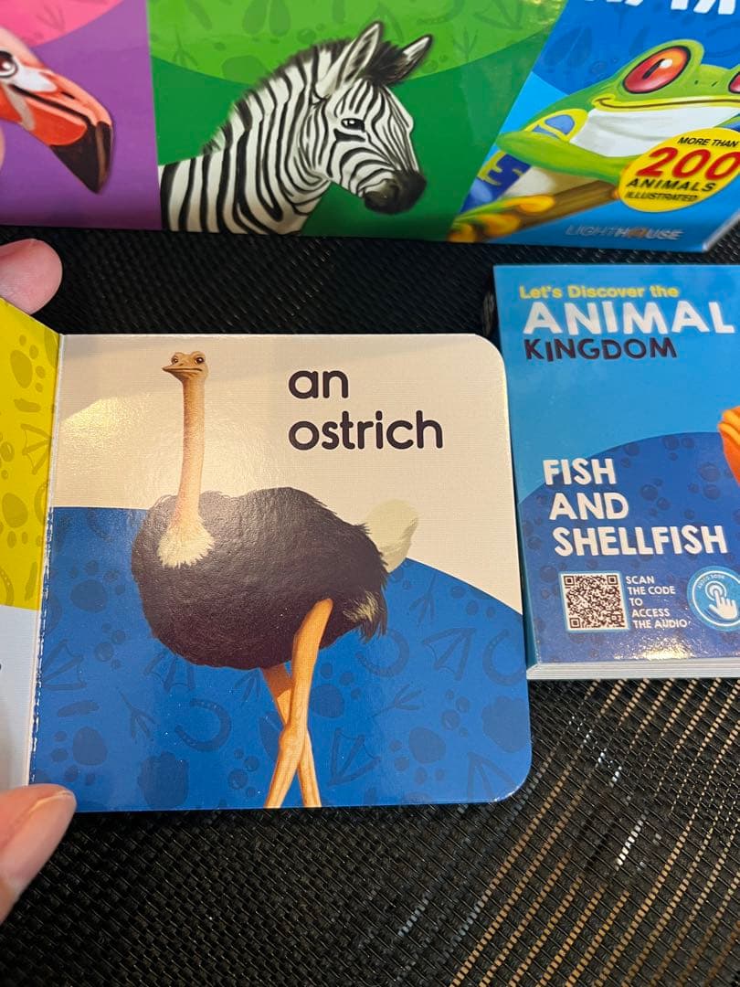英語絵本 my big mini animal library 20冊