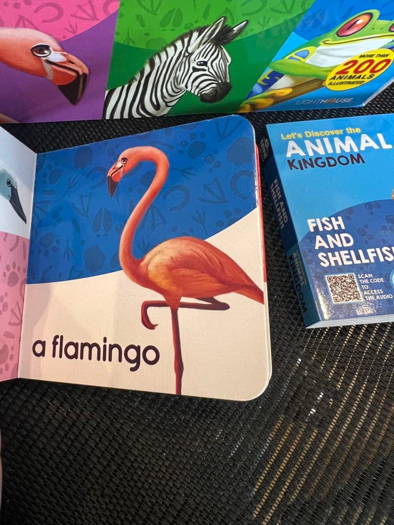英語絵本 my big mini animal library 20冊