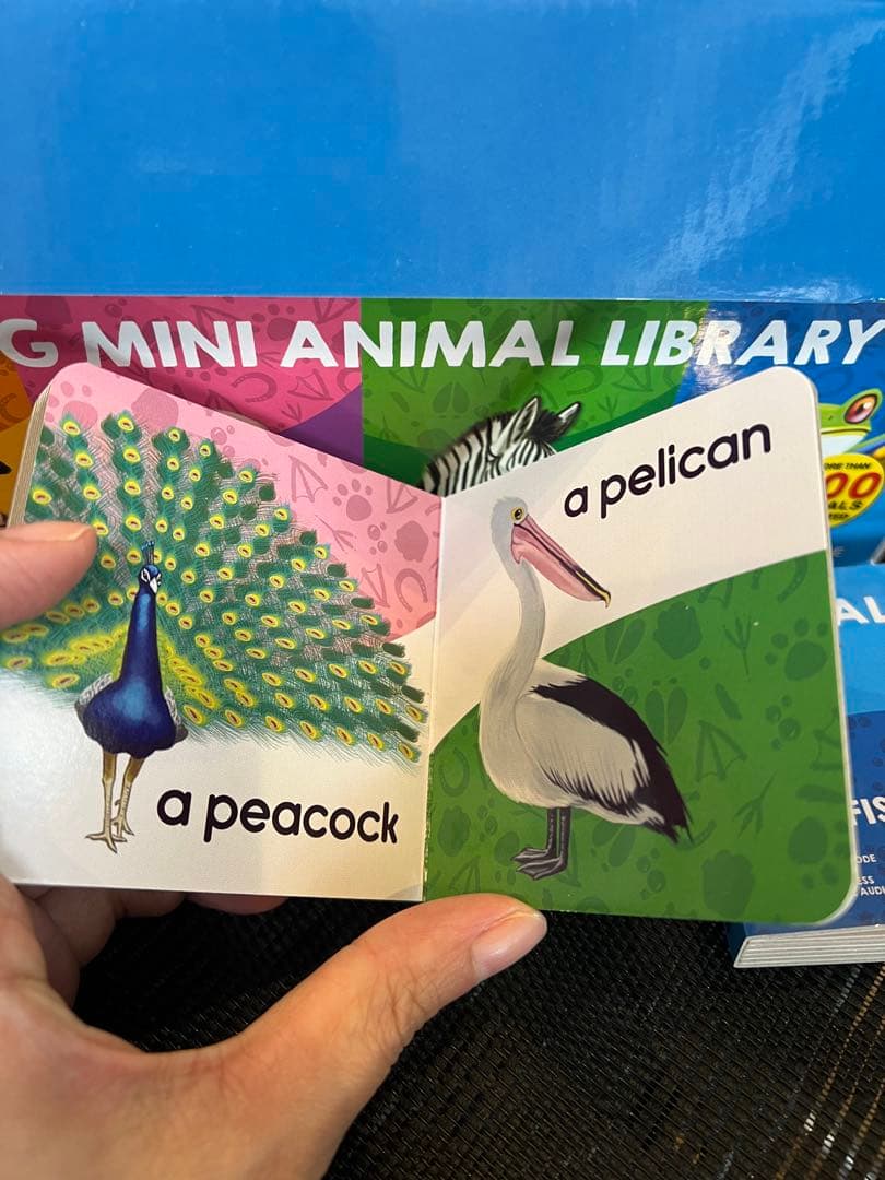 英語絵本 my big mini animal library 20冊