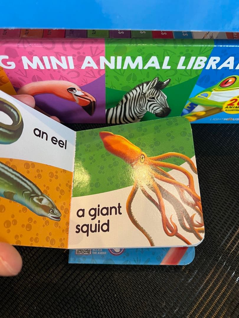 英語絵本 my big mini animal library 20冊