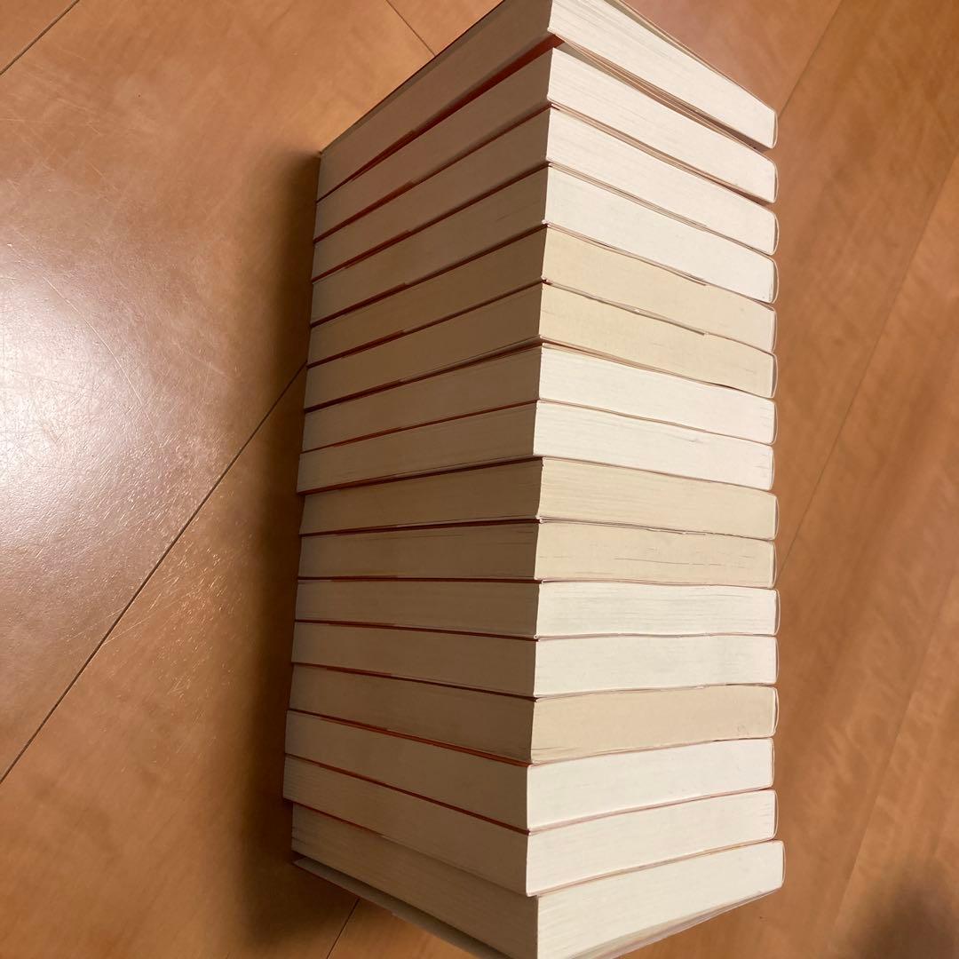 天は赤い河のほとり 文庫版 全巻セット