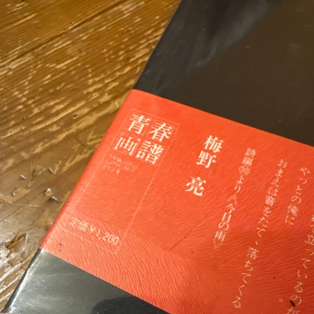青春画譜 梅野亮 1973年出版