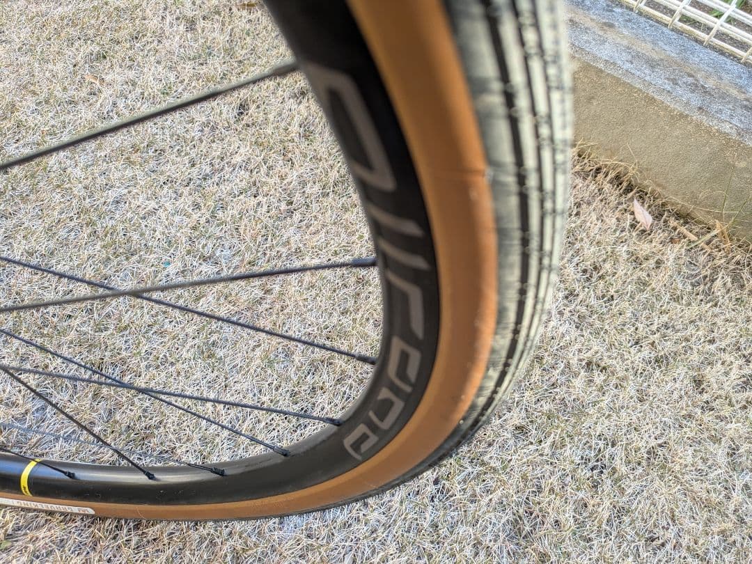 AllCity オールシティ SPACE HORSE DISC スペースホース