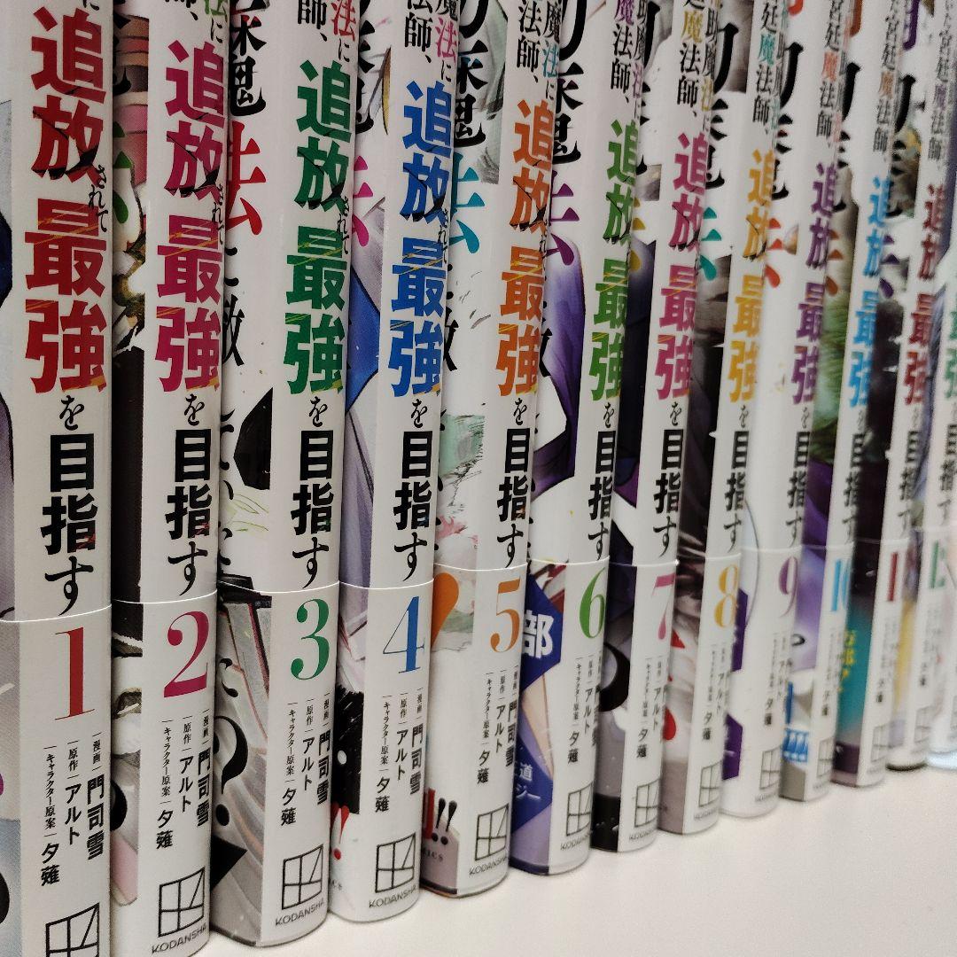 味方が弱すぎて補助魔法に徹していた宮廷魔法師、追放されて最強を目指す　1〜17巻