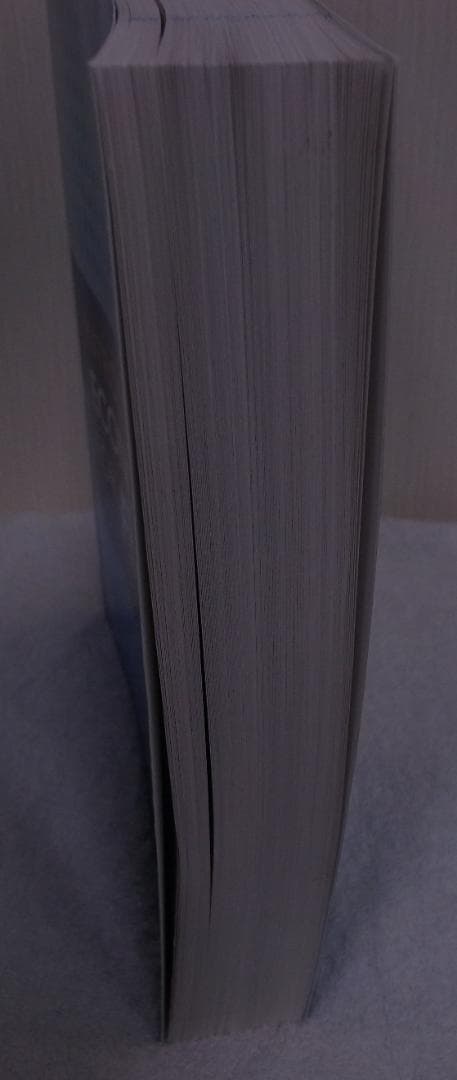 ビジネス・経済 Introductory Econometrics for Finance